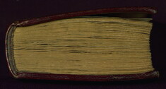 [Image for Master of the Prayerbooks of ca. 1500]
