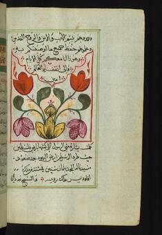 Image for Floral Painted Tailpiece to the Gospel of Matthew