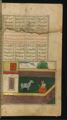 Image for A Maid, Who Used to Sleep with a Donkey, Pretends to Feed the Animal