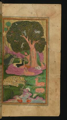 Image for Majnun in the Company of Animals in the Wilderness