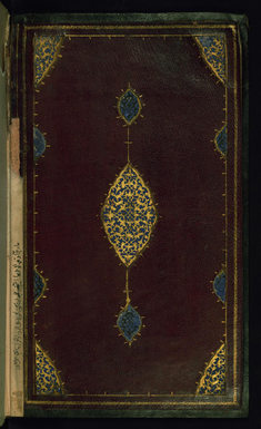 [Image for Hafiz]