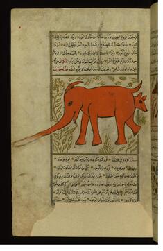 Image for An Elephant-like Animal