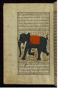 Image for An Elephant