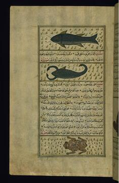 Image for Two Fish Called Sayut and Saqnin and a Frog
