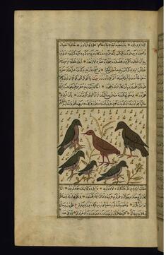 Image for A Group of Birds