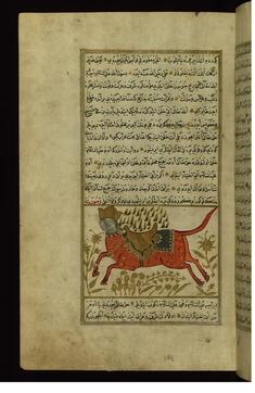 Image for Buraq (the Prophet Muhammad's Horse)