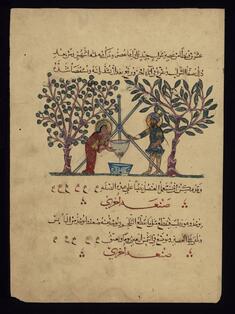 Image for Single Leaf from the Arabic Version of Dioscorides' De materia medica