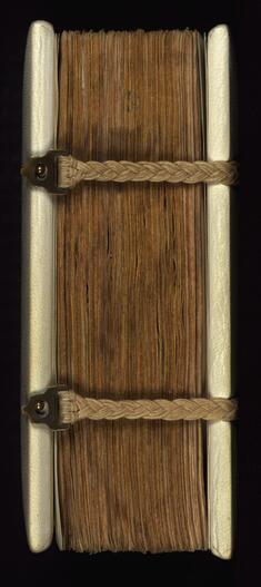 [Image for Abigail B. Quandt]