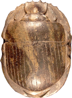 Image for Scarab Amulet