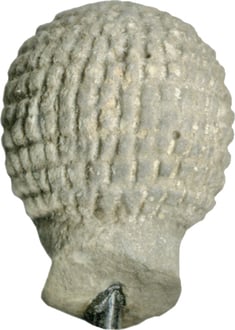[Image for Egyptian]
