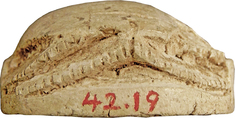 [Image for Canaanite]