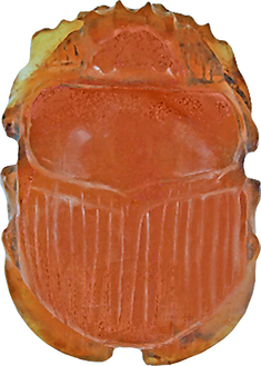 Image for Naturalistic Scarab