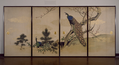 Image for Peacock and Peahen with Flowering Prunus