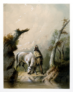 Image for Auguste and His Horse