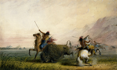 Image for Killing Buffalo with the Lance