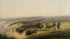 Image for Hunting Buffalo