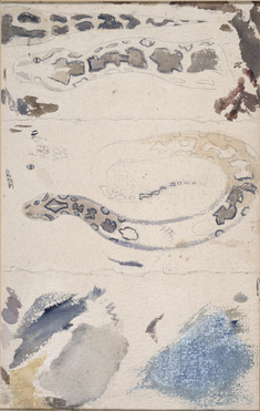Image for Studies of a Snake's Skin