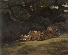 Image for Tiger Rolling
