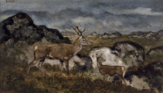 Image for Stag and Doe