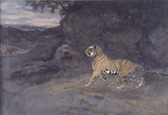 Image for Tiger Watching an Elephant