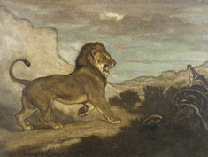 Image for Lion and Python