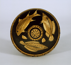 [Image for Flatfish Painter]