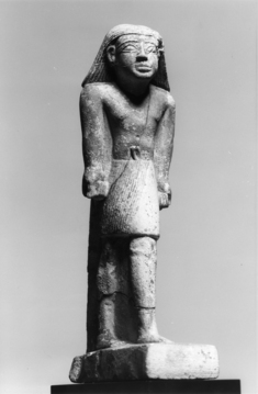 Image for Male Figure Standing