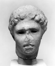 Image for Head of a Youth