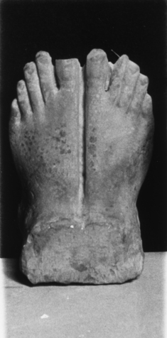 Image for Pair of Feet