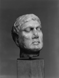 Image for Roman Portrait Head