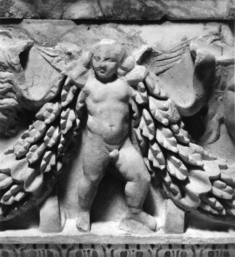 [Image for Roman]