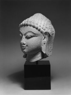 Image for Head of a Jina