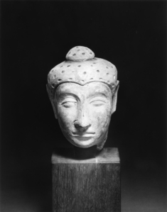 Image for Head of Buddha