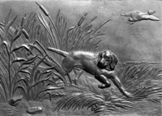 Image for Dog in Rushes