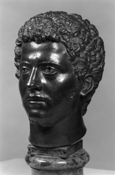 Image for Head of the Young Marcus Aurelius (?)