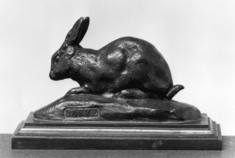 Image for Rabbit with Ears Erect