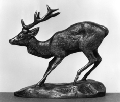 Image for Frightened Stag