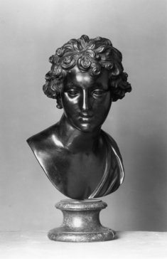 Image for Bust of Apollo
