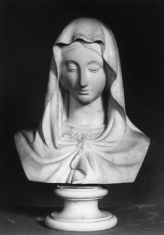 Image for Virgin of the Immaculate Conception