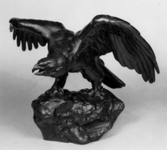 Image for Eagle with Spread Wings