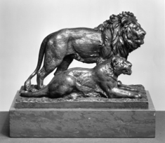 Image for Lion and Lioness