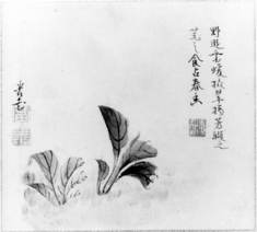 [Image for Shunsui]
