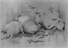 Image for Four Pigs In A Barn