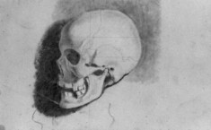 Image for Academic Study of a Skull