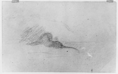 Image for Rough sketch of lion - landscape