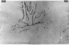 Image for Sketch of a tree
