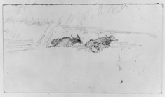 Image for Sketch of cows in landscape