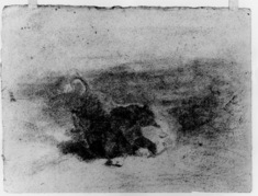 Image for Bear attacking a bull