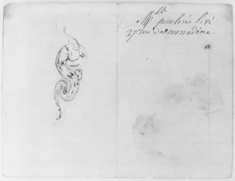 Image for Study of a snake;three studies of snakes