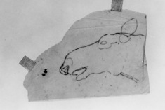 Image for Tracing of sketch of horse's head